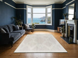 Anazarbus rug in a living room (illustrative)