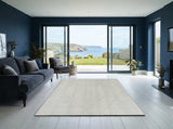 Ani rug in a living room (illustrative)