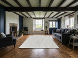 Dara rug in a living room (illustrative)